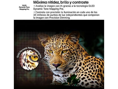TV OLED 65" - LG OLED65G54LW, OLED 4K, Procesador Inteligente α11 AI Processor 4K Gen2, Smart TV, Gallery Design, Rocky Black